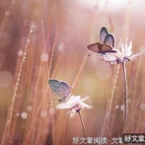 在人生的旅途上，身边须有一二知己