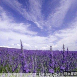 有你才有未来
