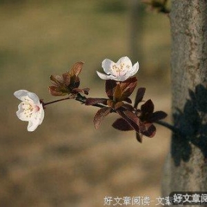 丢掉得失心，人生更快乐