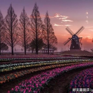用心，生活便会精致