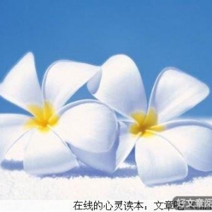 当爱已远去