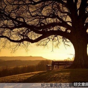 爱就是含笑饮毒酒