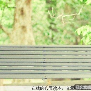把爱黏好