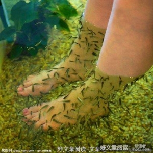 火对水的思念