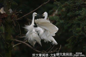 情到深处