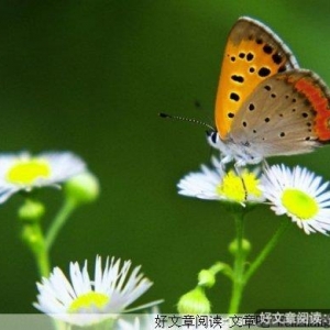 今生有你就很美