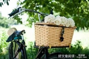 生活，每天都在给你改变命运的机会
