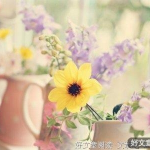 反省是智慧的源泉