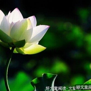 有宽容才会有快乐