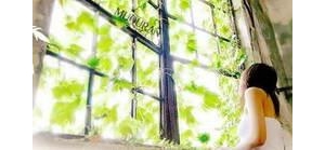 谁要把我送上被告席