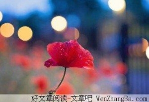 除了爱情，还要有自己