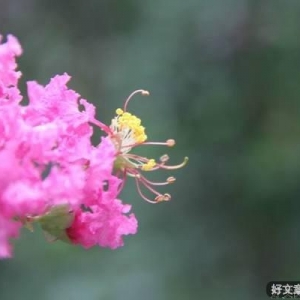 看淡人生，善待自己