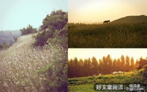 那年那个秋天
