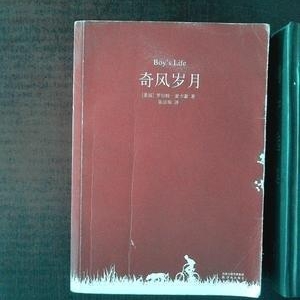 《奇风岁月》读后感精选