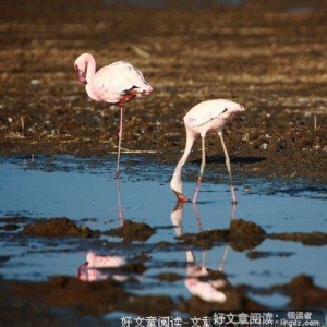 回眸回眸，在回望