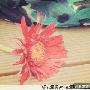 相信爱情