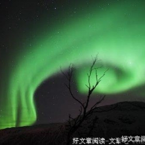 那种爱情