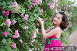 蔷薇花下的斑点