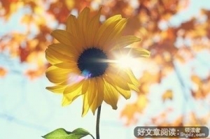 被高估的‘好心态’