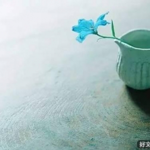 活着，让自己高兴，做人，让别人舒服！