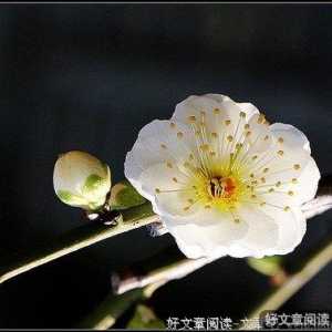 坎坷人生，请多为自己鼓掌