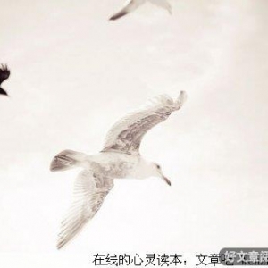 人生百态，学会坦然，好彩自然来！