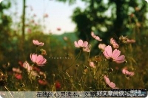 让自己变得坚强