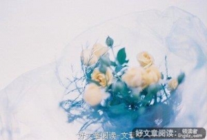 追你的人就是你的一面镜子