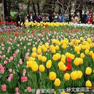 爱远走，才知道多不舍你走