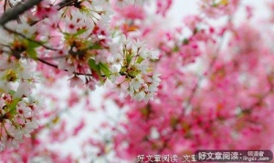 世间有十恩，恩恩须铭记