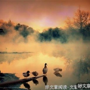 致我亲爱的好朋友们