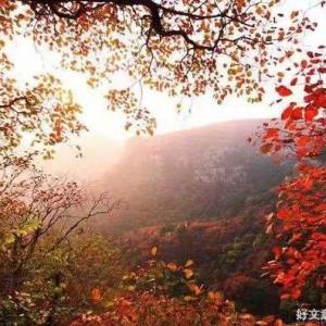 一个女人出轨后的讲述实录！