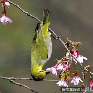 体验支教，感受人生