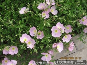 爱我，你敢吗