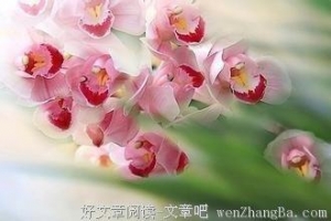 爱是一辈子的领悟