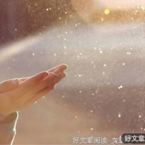 迟些遇见吧，你刚好成熟我刚好温柔