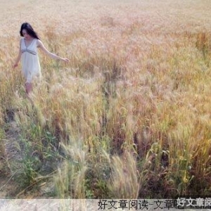 十二个月的爱情