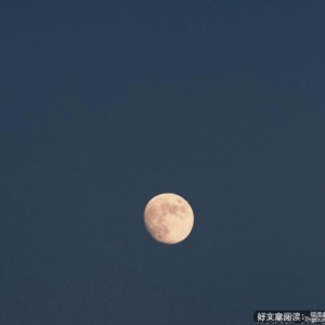 告别“老涛”