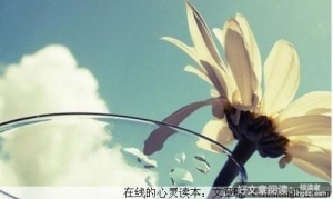 不爱我，就别再打扰我