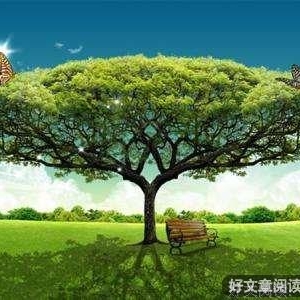 不 比！(经典)