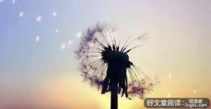 人生：好在适度，误在失度，坏在过度