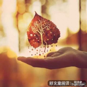 别站在烦恼里仰望幸福