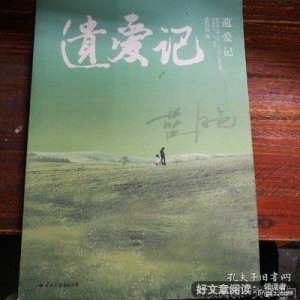 遗爱记读后感精选