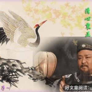 怪奇案件受理处读后感100字