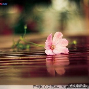 拥有平淡就有了从容