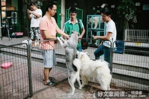 即便一无所有，也要坚强的活着