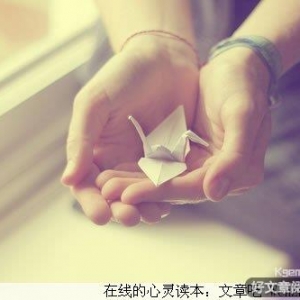 捧在手心里的温暖
