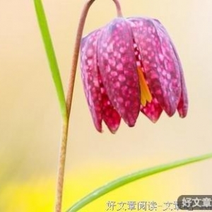 不要等爱走了你才懂