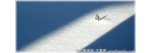 一美分堆起的亿万富翁