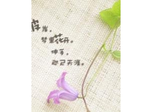 有一种感觉